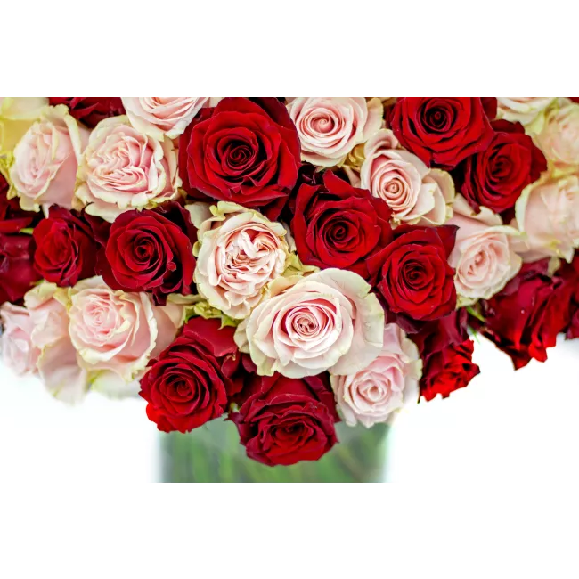 Bouquet of pink and red roses